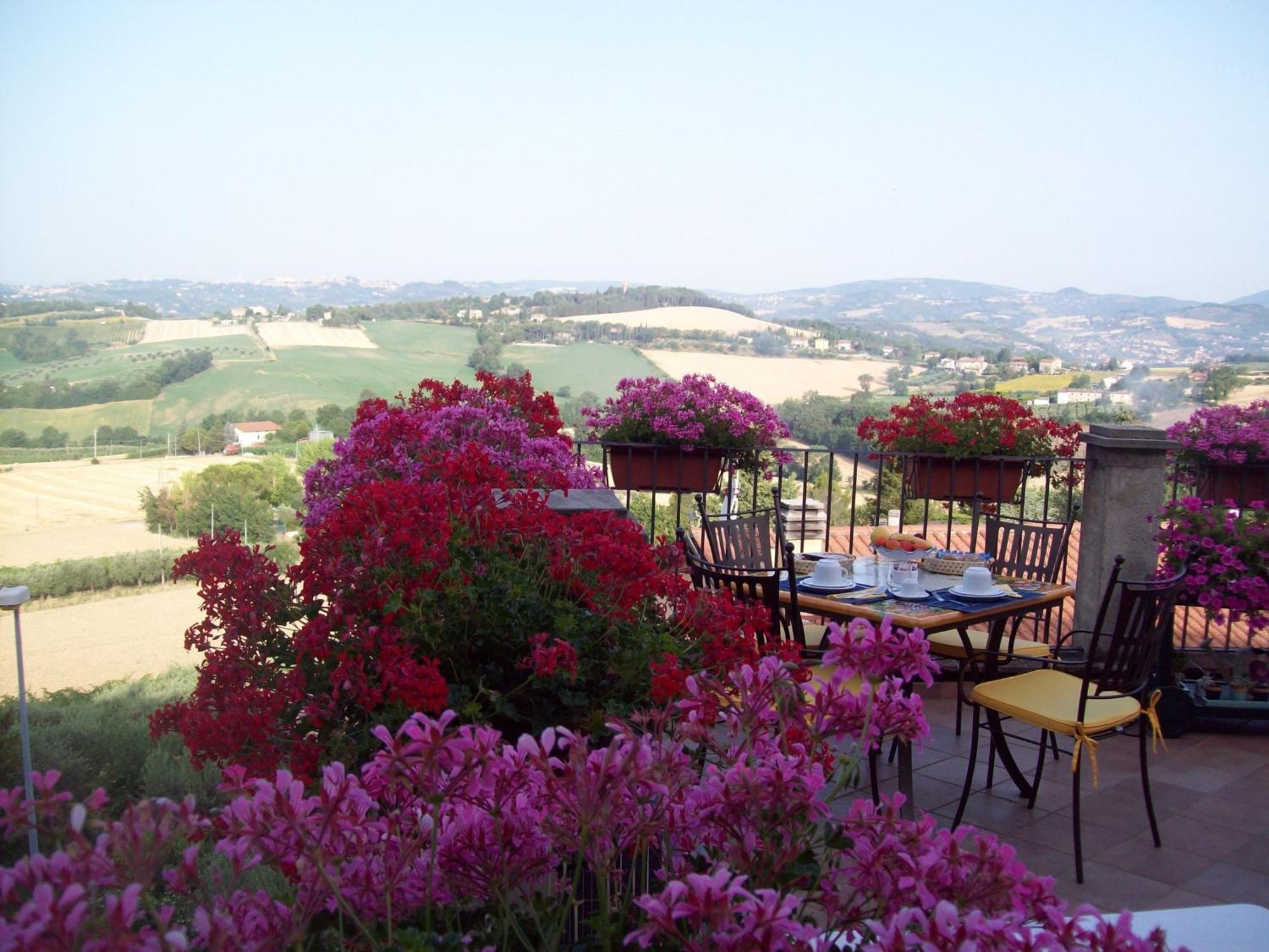 Bed & Breakfast La Terrazza Fio...rita